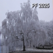 PF 2025