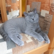 Chilia 22.12.2011