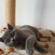 Princ v nov�m domov�