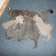 ...jedno z posledn�ch napit� od maminky Heidy...