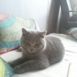 Ivy v nov�m domov�