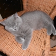Ivy . ...je v podstat� HODN� KLUK