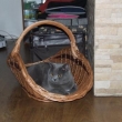 Chico - Juli�nek - z��� 2012
